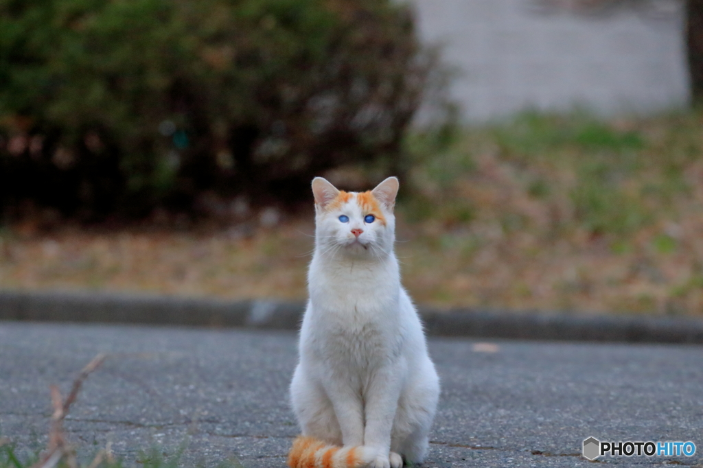 おねだりされても・・・