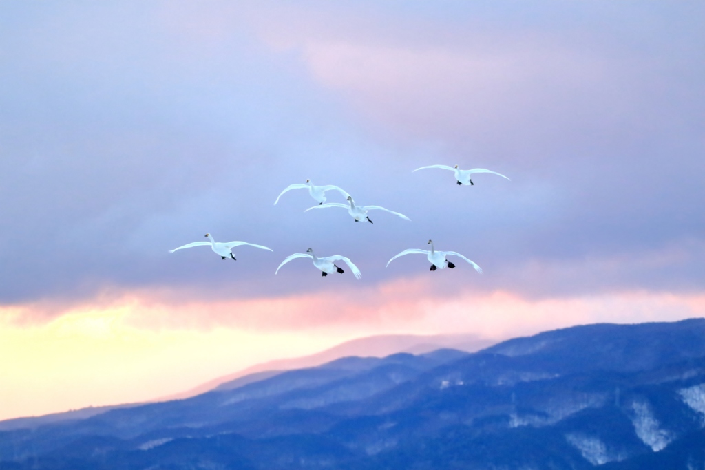 滑空