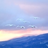 滑空