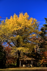 今年はこの場所で