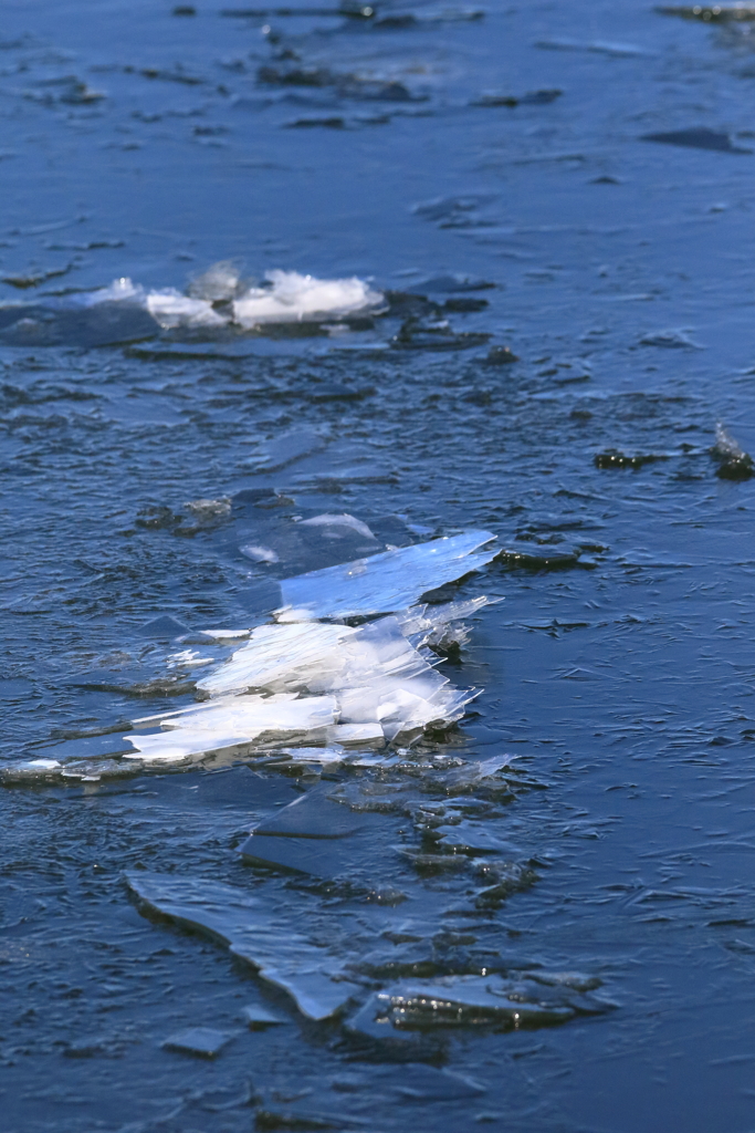プチ御神渡り(偽)