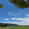 渦巻き状