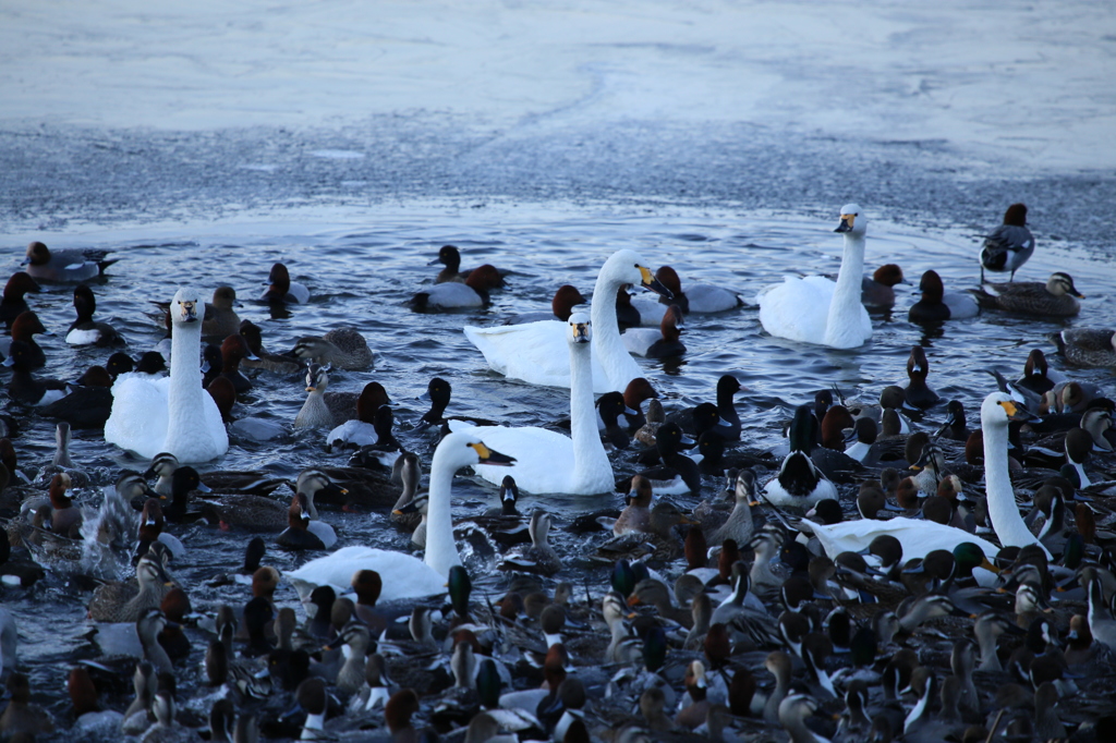 みんな集まって～～
