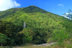 久し振りのカメラを手に (1)