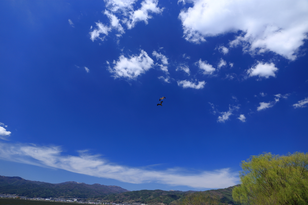 青空の元　戯れる