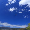 青空の元　戯れる