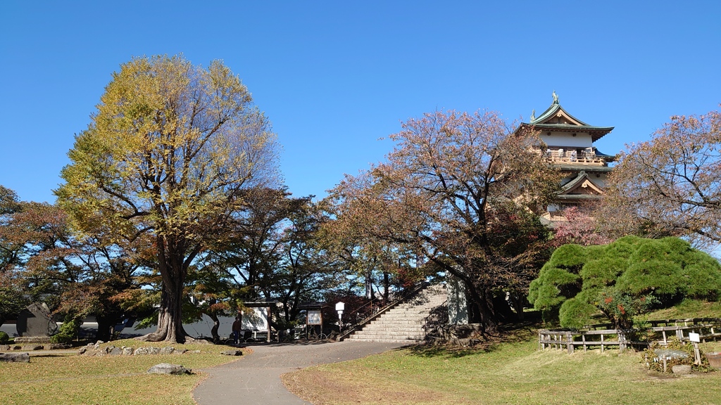 紅葉には遅かった