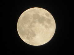 中秋の名月