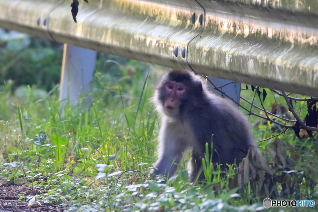 早く行けよ～～～