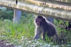 早く行けよ～～～