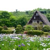 20150602宮地嶽神社 菖蒲 031