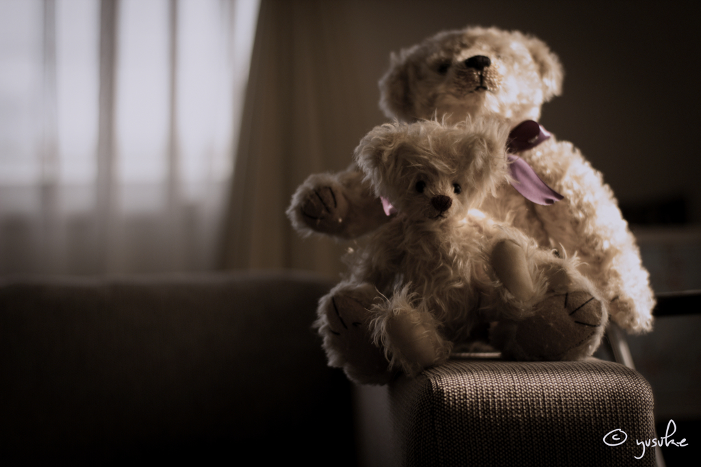 Bears