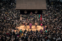 大相撲3月場所、遠藤登場に沸く大阪府立体育館