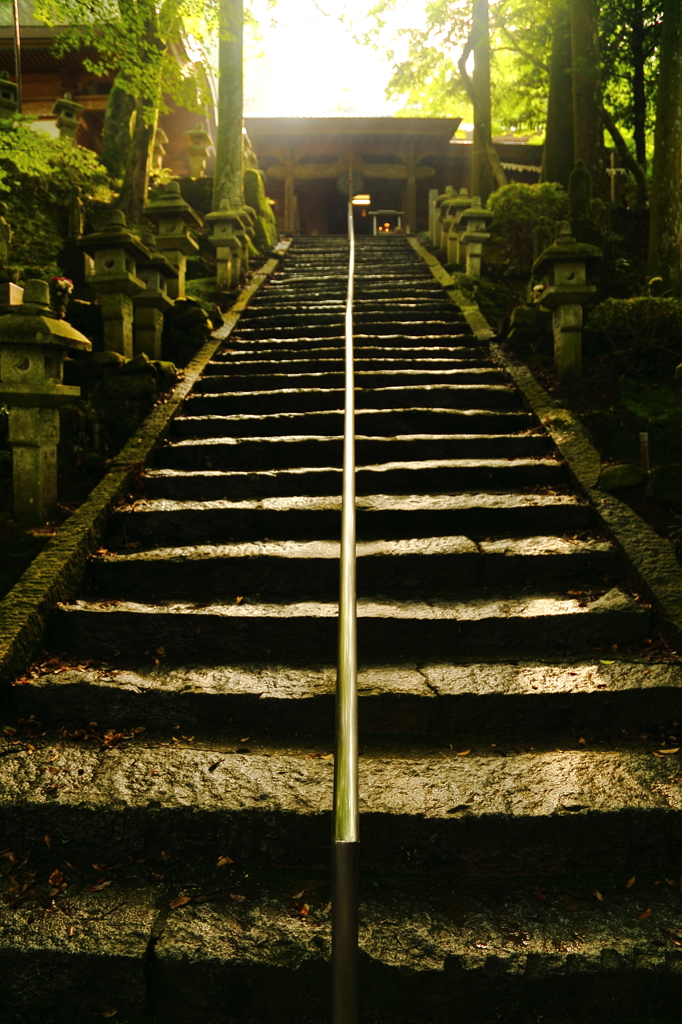 千如寺にて～悟りへの階段～