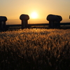 ある日の夕日-1