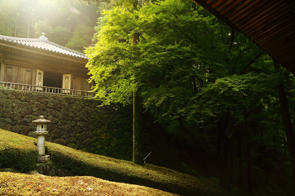 千如寺にて～お堂～