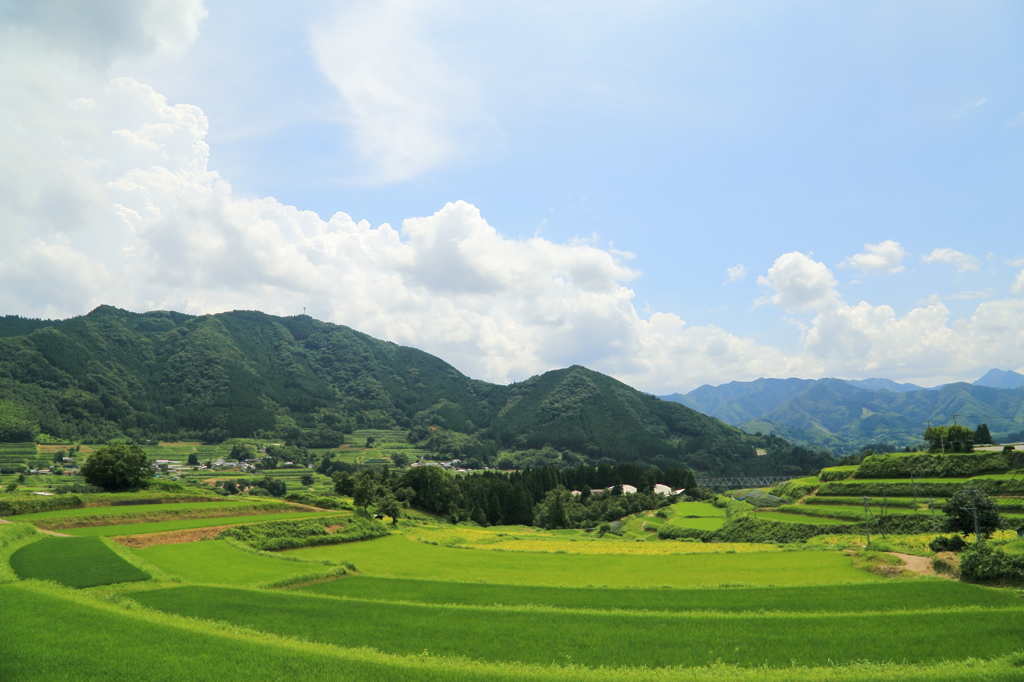 栃又棚田にて