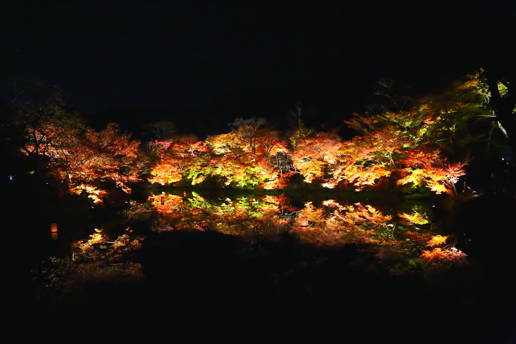光園