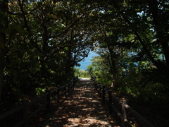 海へ続く遊歩道