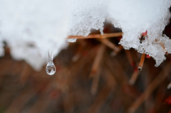 drop