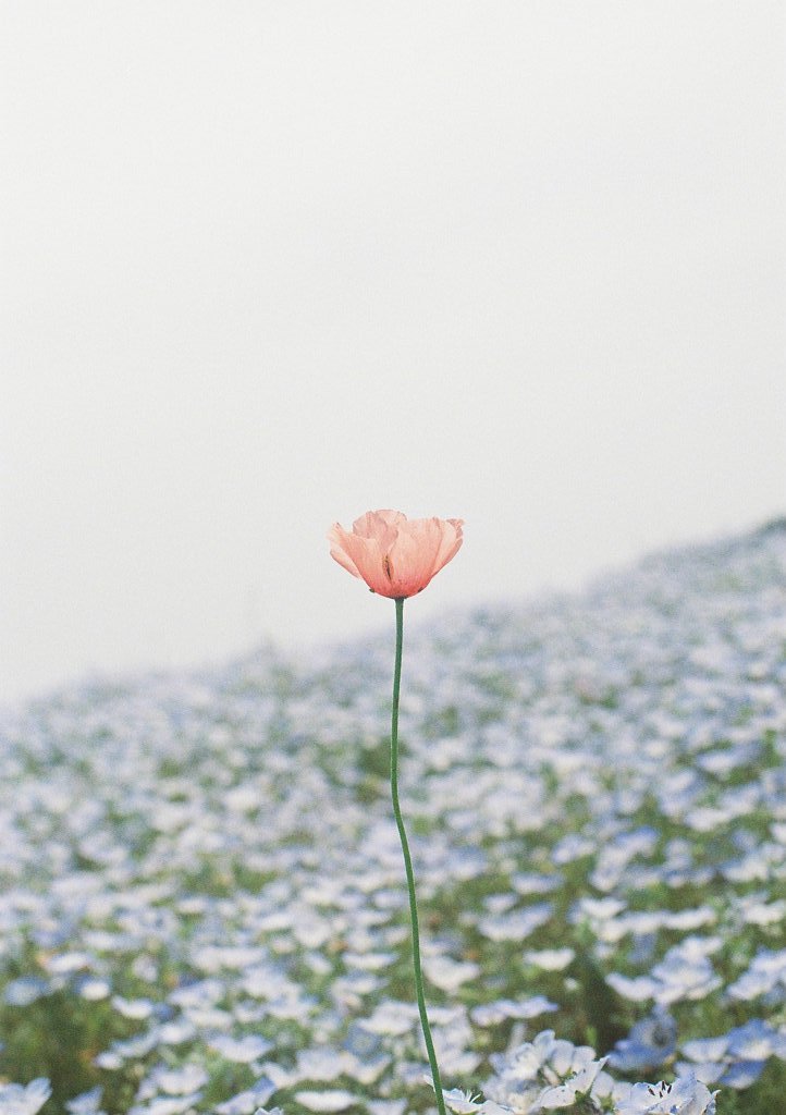000023
