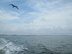 P9305029