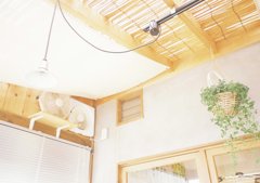 見上げれば