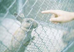じーっ