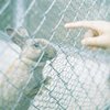 じーっ