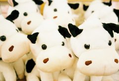 うしくん