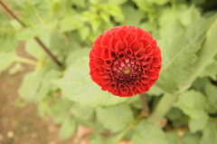 P8240172