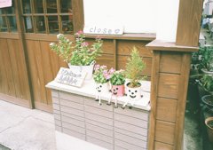 三人むすめ