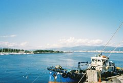 海