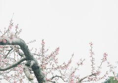 春の寒空