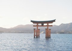 ひとり散歩②