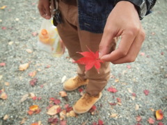 もみじ狩り