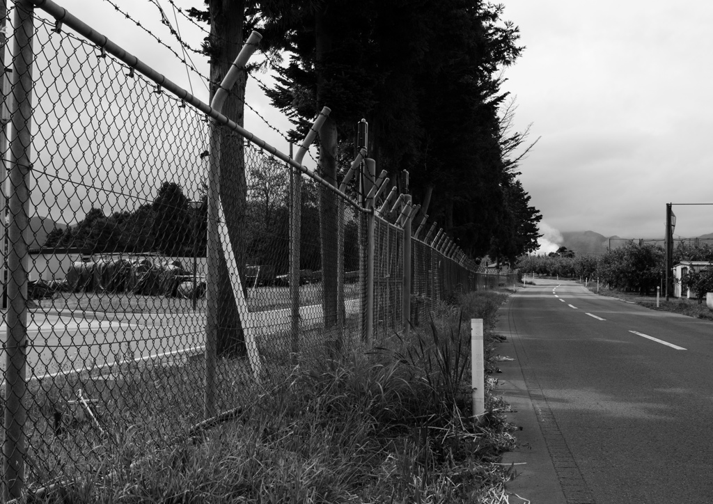 monochrome