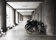 自転車百景　80