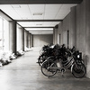 自転車百景　80