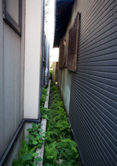 間の光景