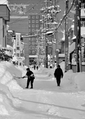 snap/hirosaki 5