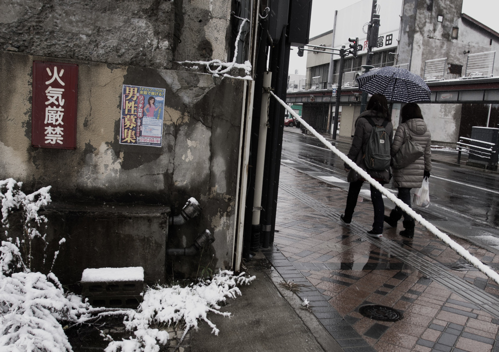 snap/Hirosaki 8