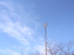 P2230019