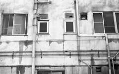 monochrome　4