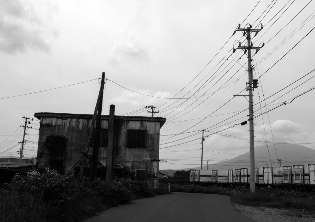 Monochrome