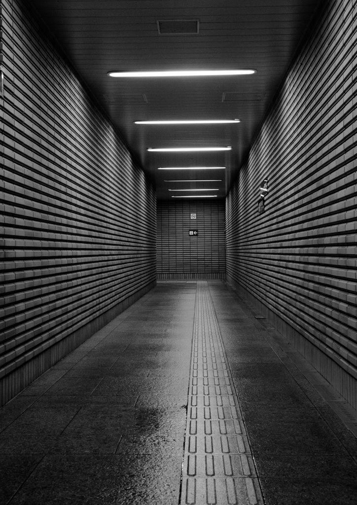 Monochrome
