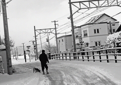 TSUGARU 