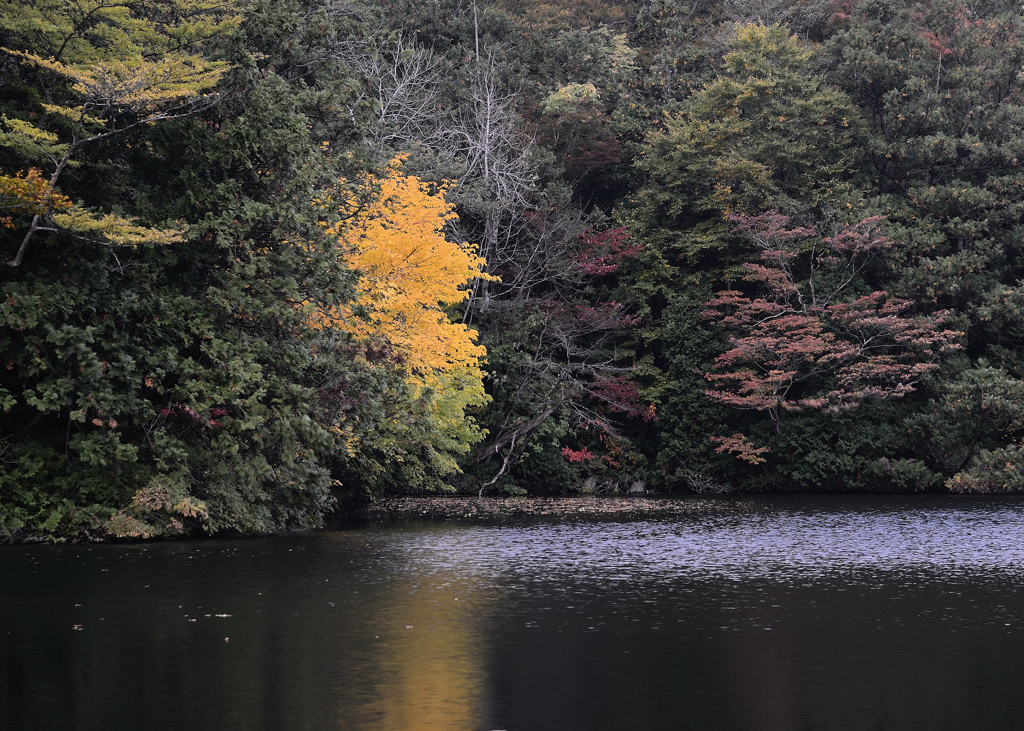 The color of autumn