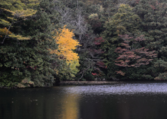 The color of autumn