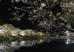 sakura